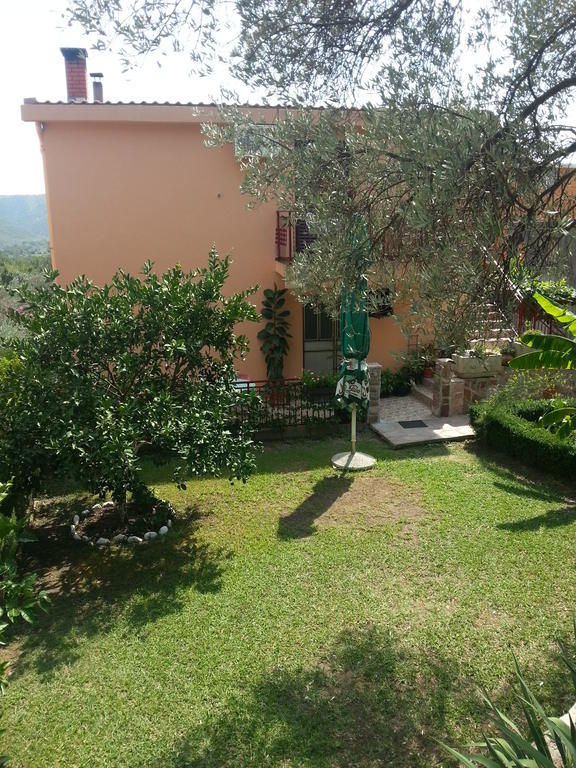 Apartments Kovacevic Petrovac Zewnętrze zdjęcie