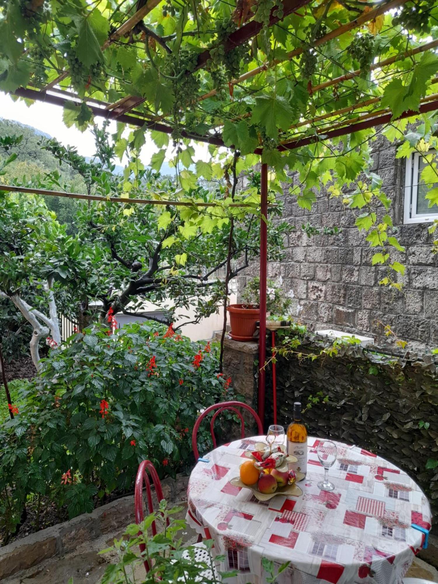 Apartments Kovacevic Petrovac Pokój zdjęcie