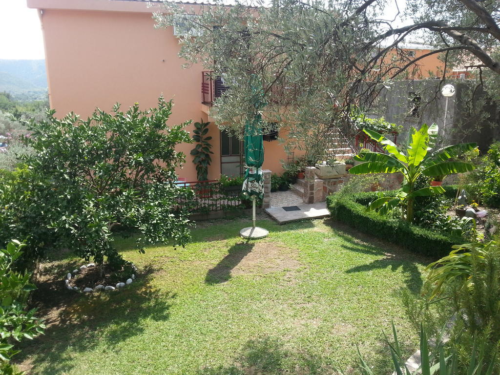 Apartments Kovacevic Petrovac Zewnętrze zdjęcie
