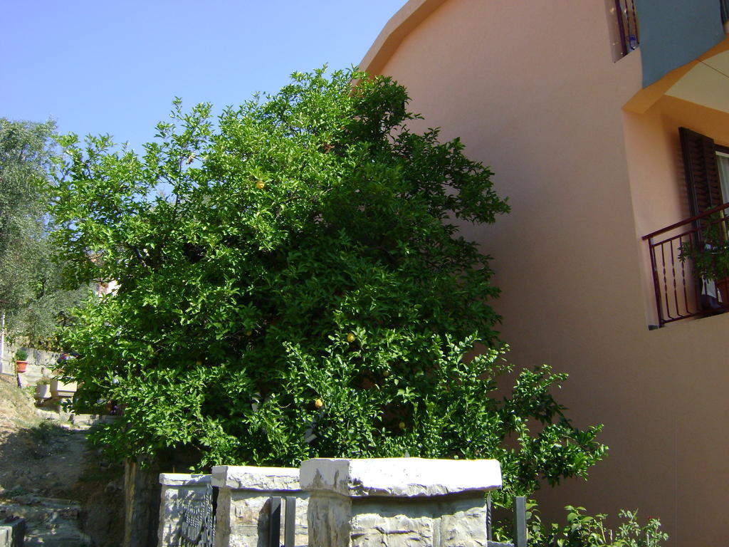 Apartments Kovacevic Petrovac Zewnętrze zdjęcie